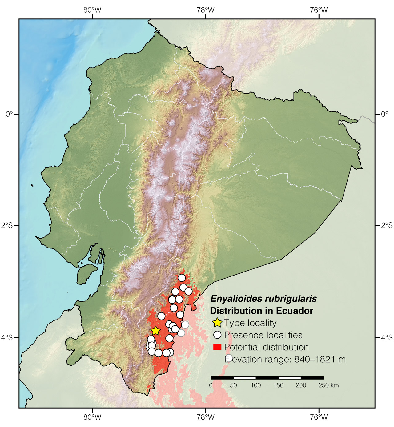 Distribution of Enyalioides rubrigularis in Ecuador
