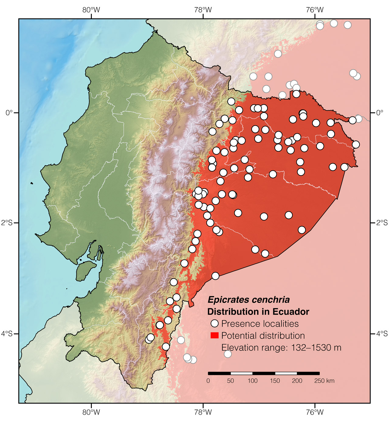 Distribution of Epicrates cenchria in Ecuador
