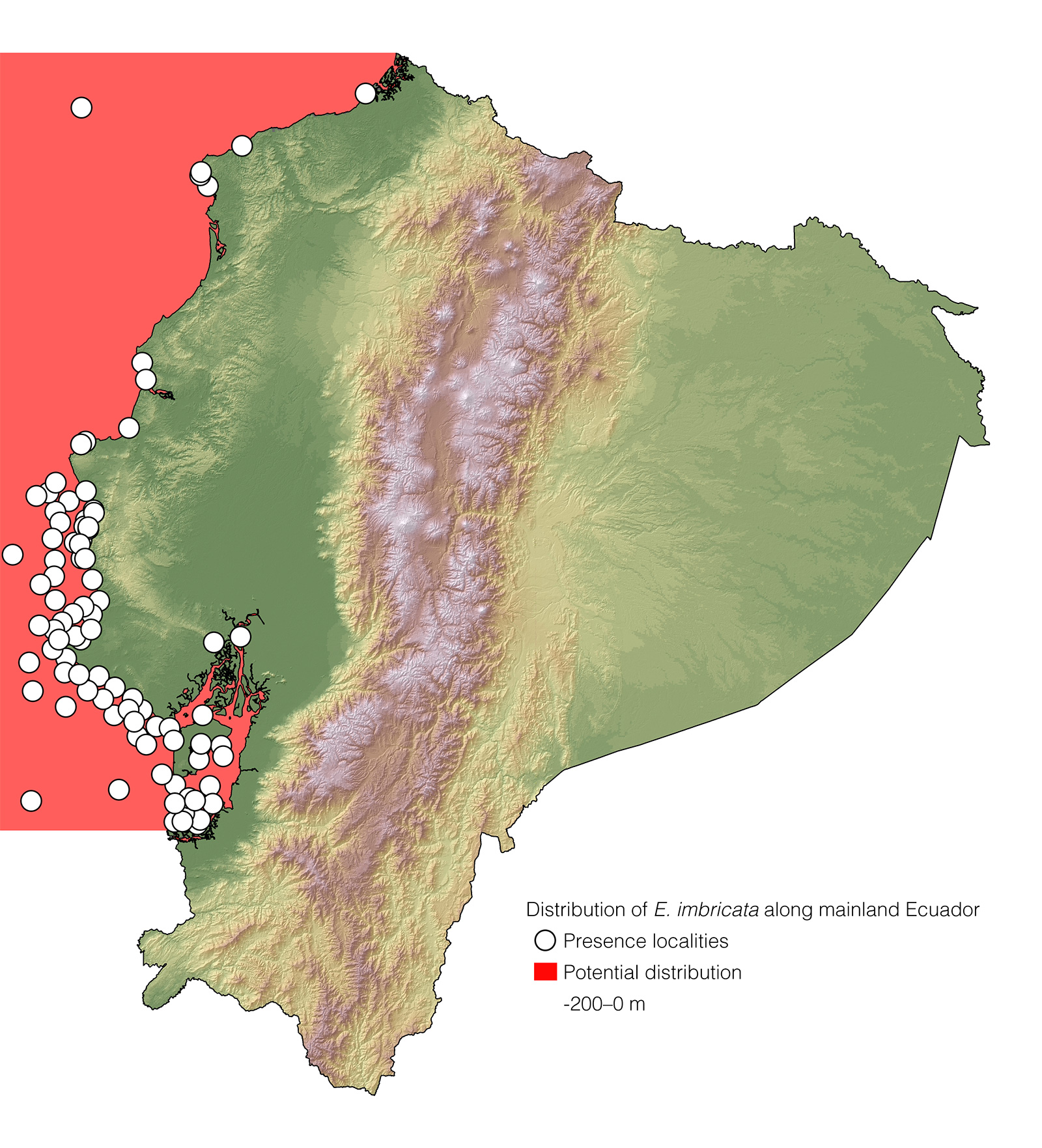 Distribution of Eretmochelys imbricata along mainland Ecuador
