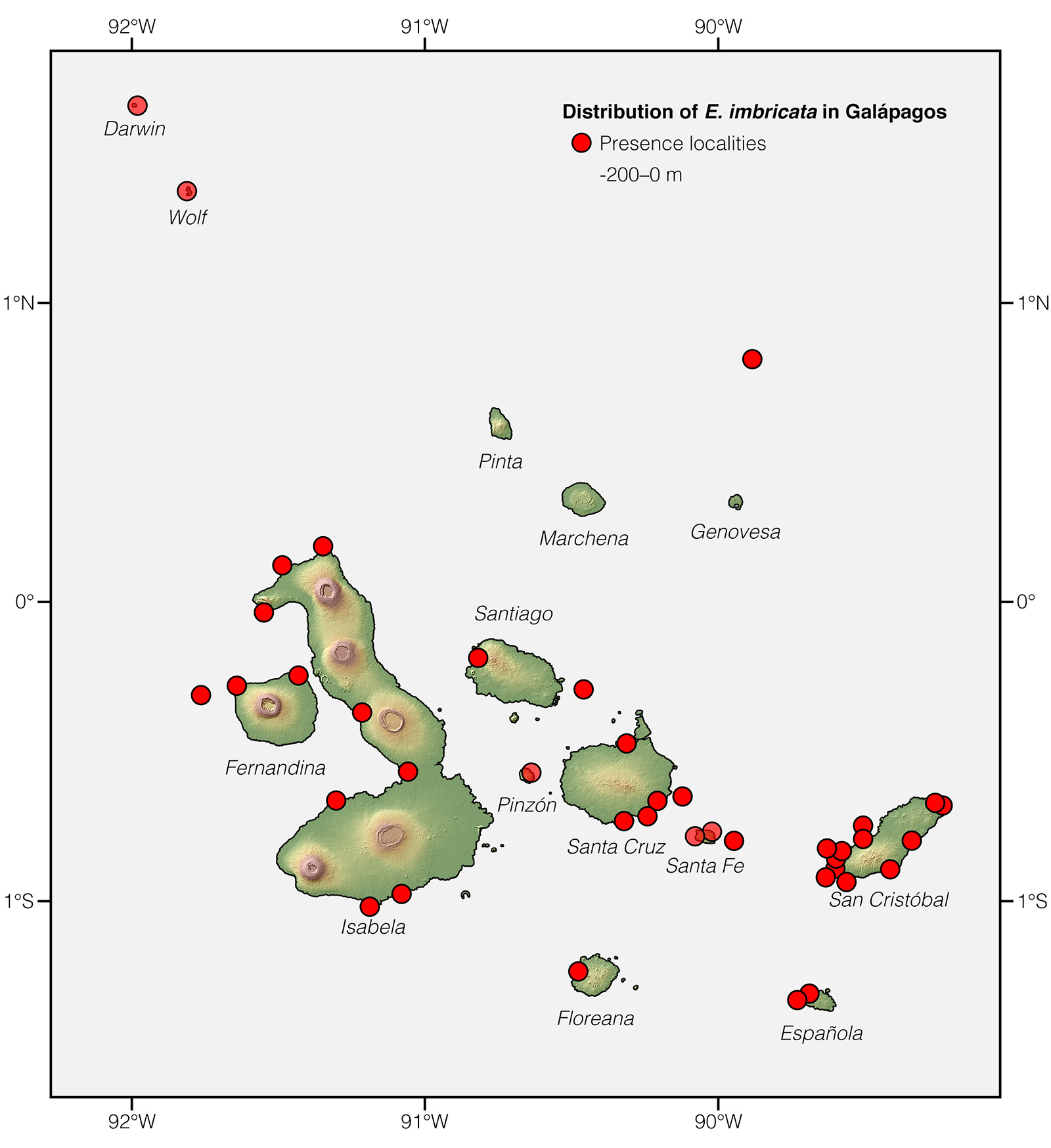 Distribution of Eretmochelys imbricata in Galápagos
