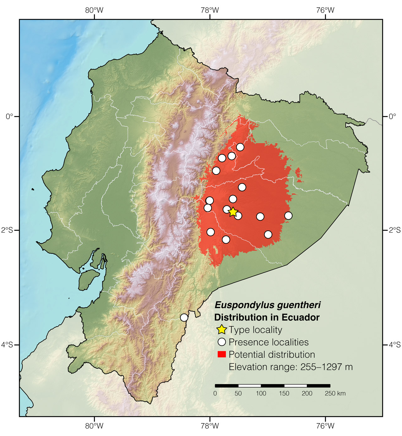 Distribution of Euspondylus guentheri in Ecuador