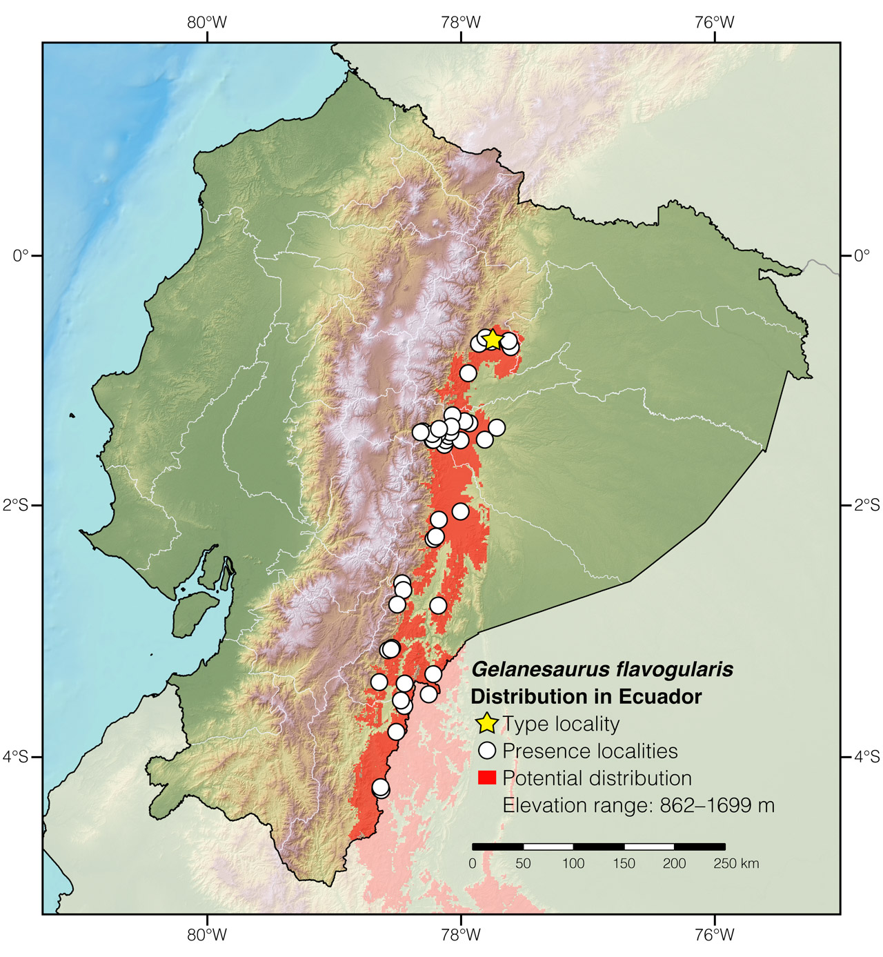 Distribution of Gelanesaurus flavogularis in Ecuador