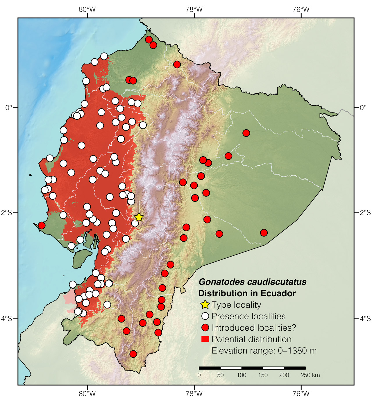 Distribution of Gonatodes caudiscutatus in Ecuador