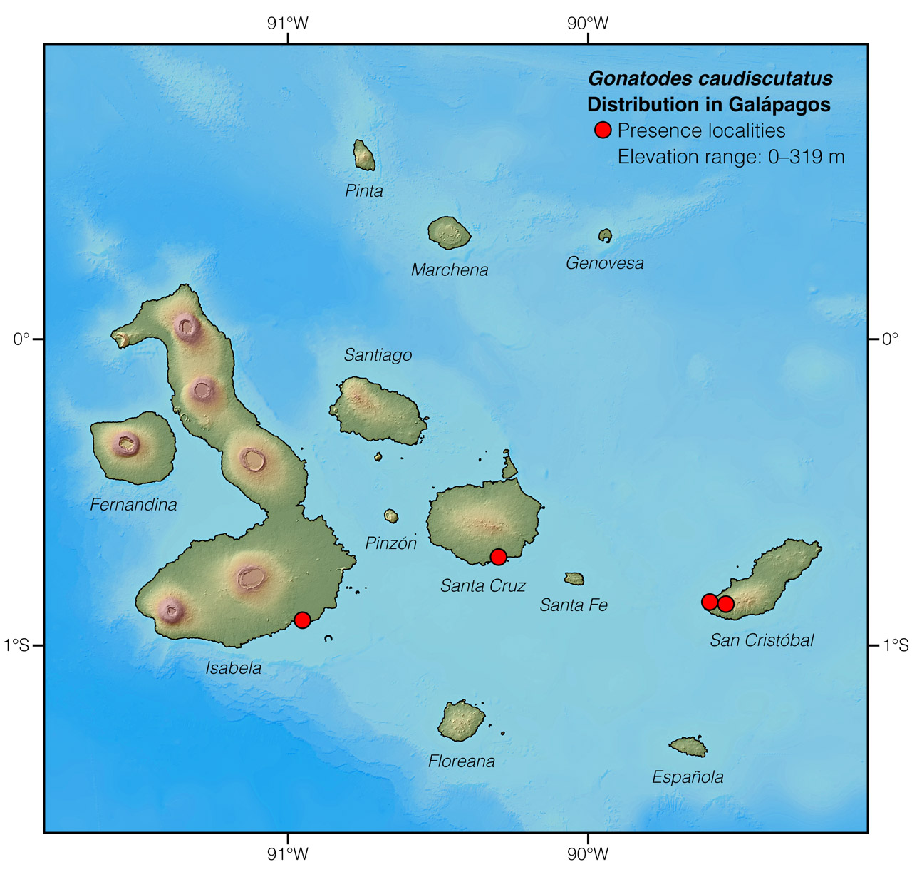 Distribution of Gonatodes caudiscutatus in Galápagos