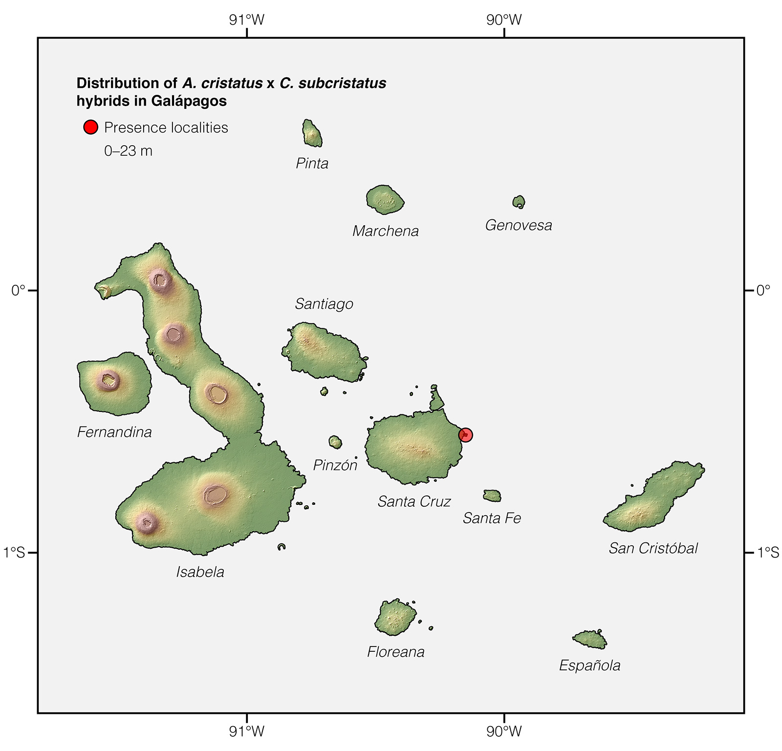 Distribution of Amblyrhynchus cristatus x Conolophus subcristatus hybrids in Galápagos