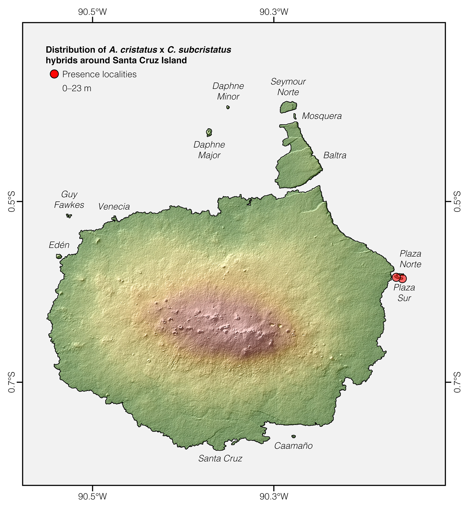 Distribution of Amblyrhynchus cristatus x Conolophus subcristatus hybrids around Santa Crus Island