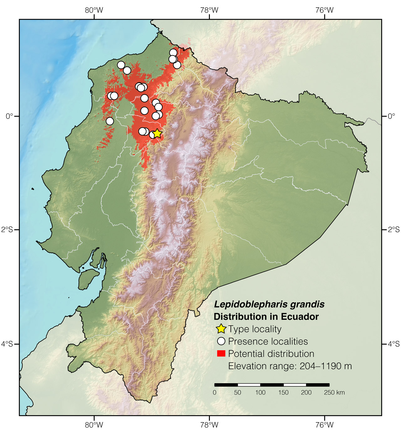 Distribution of Lepidoblepharis grandis in Ecuador
