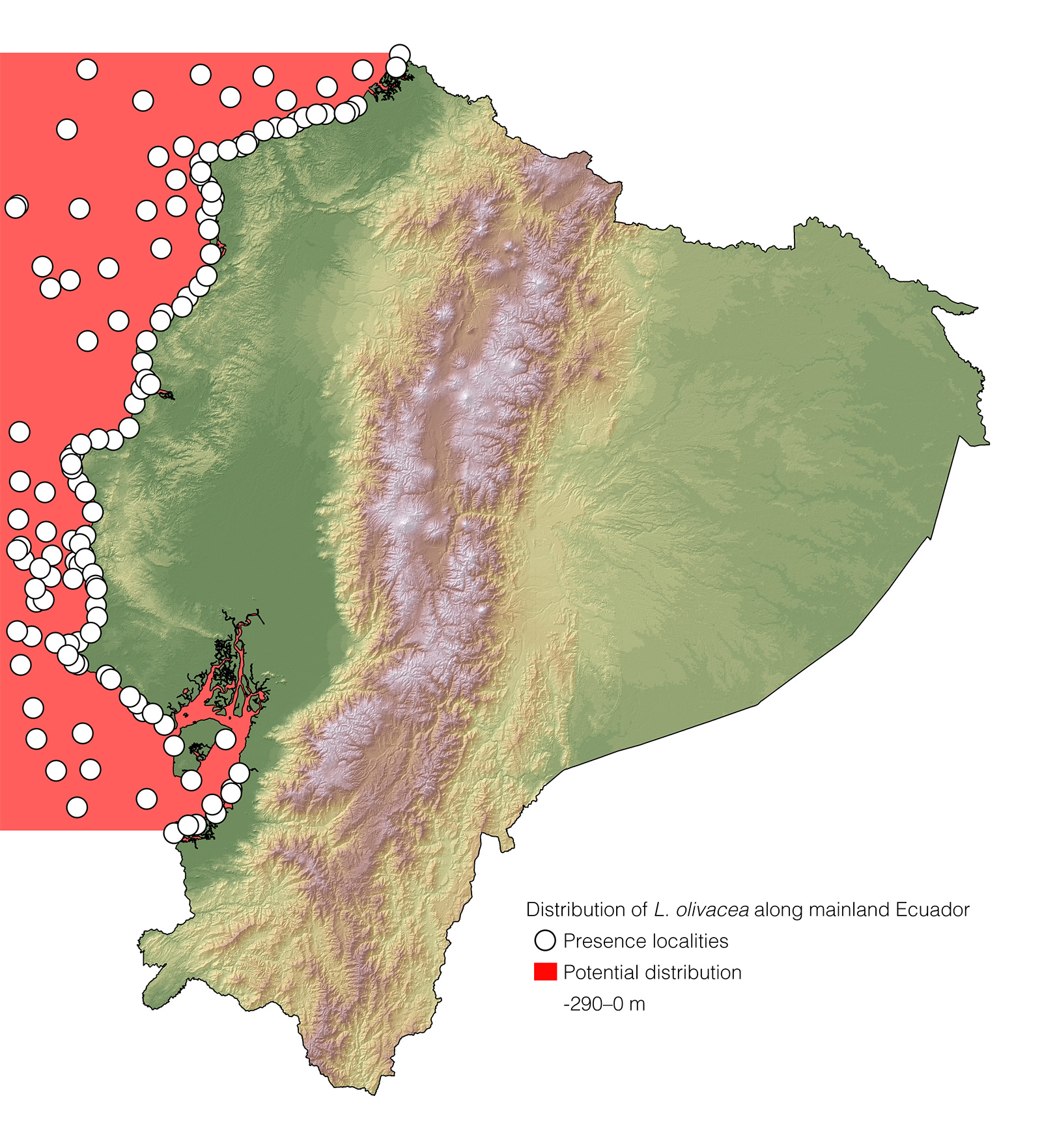 Distribution of Lepidochelys olivacea along mainland Ecuador