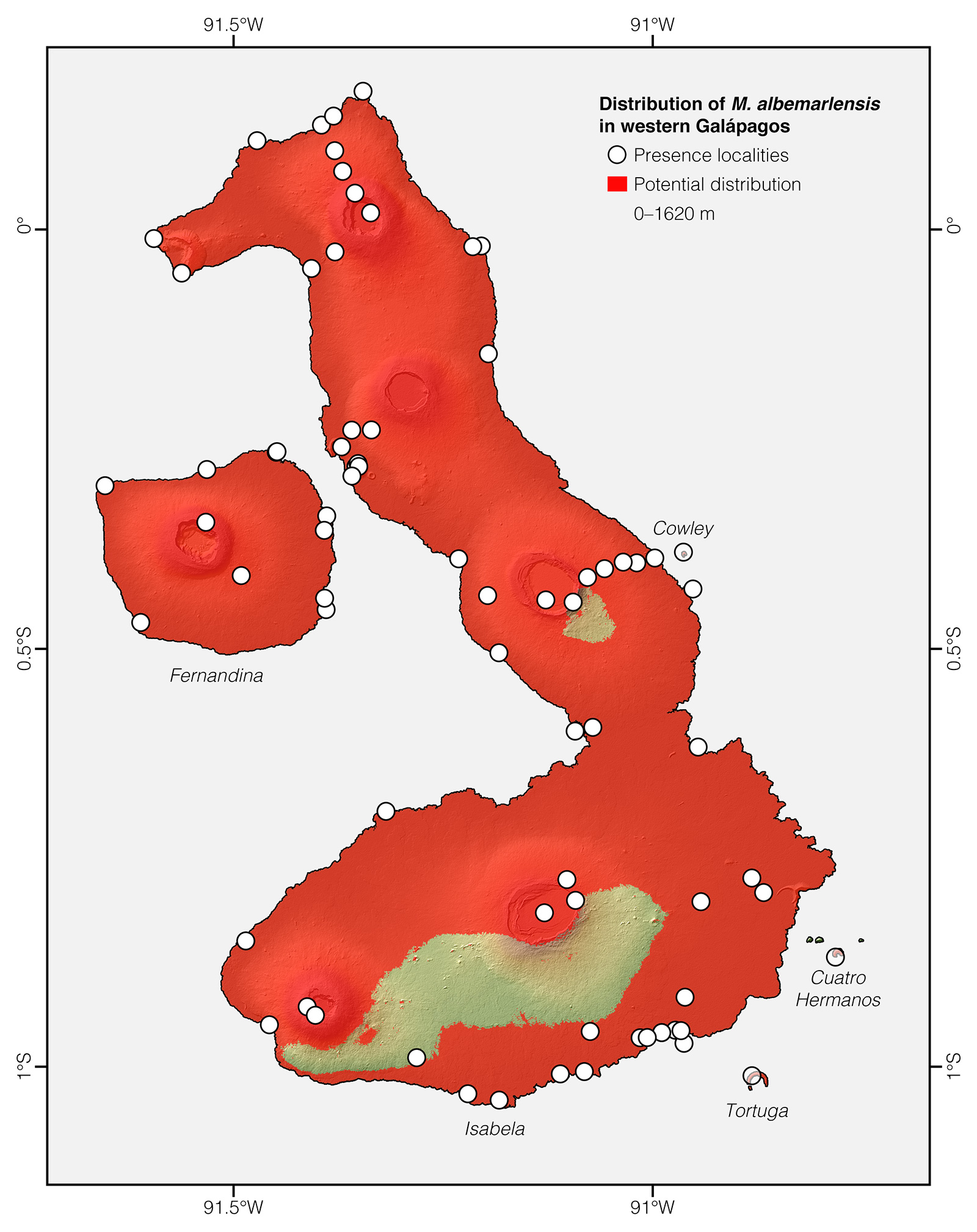 Distribution of Microlophus albemarlensis in western Galápagos