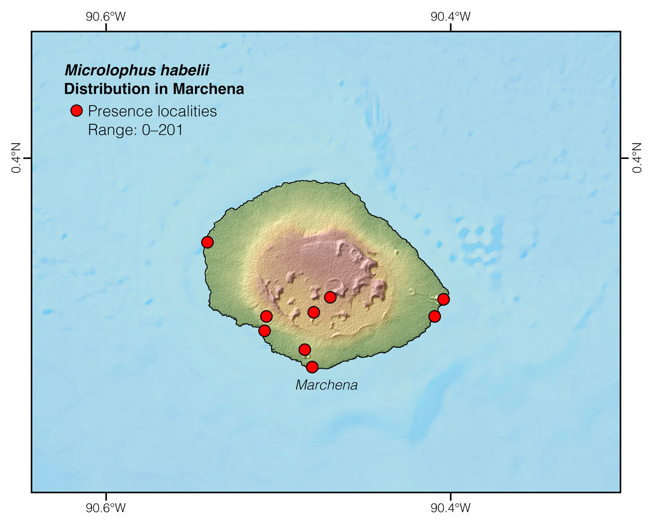 Distribution of Microlophus habelii in Marchena Island
