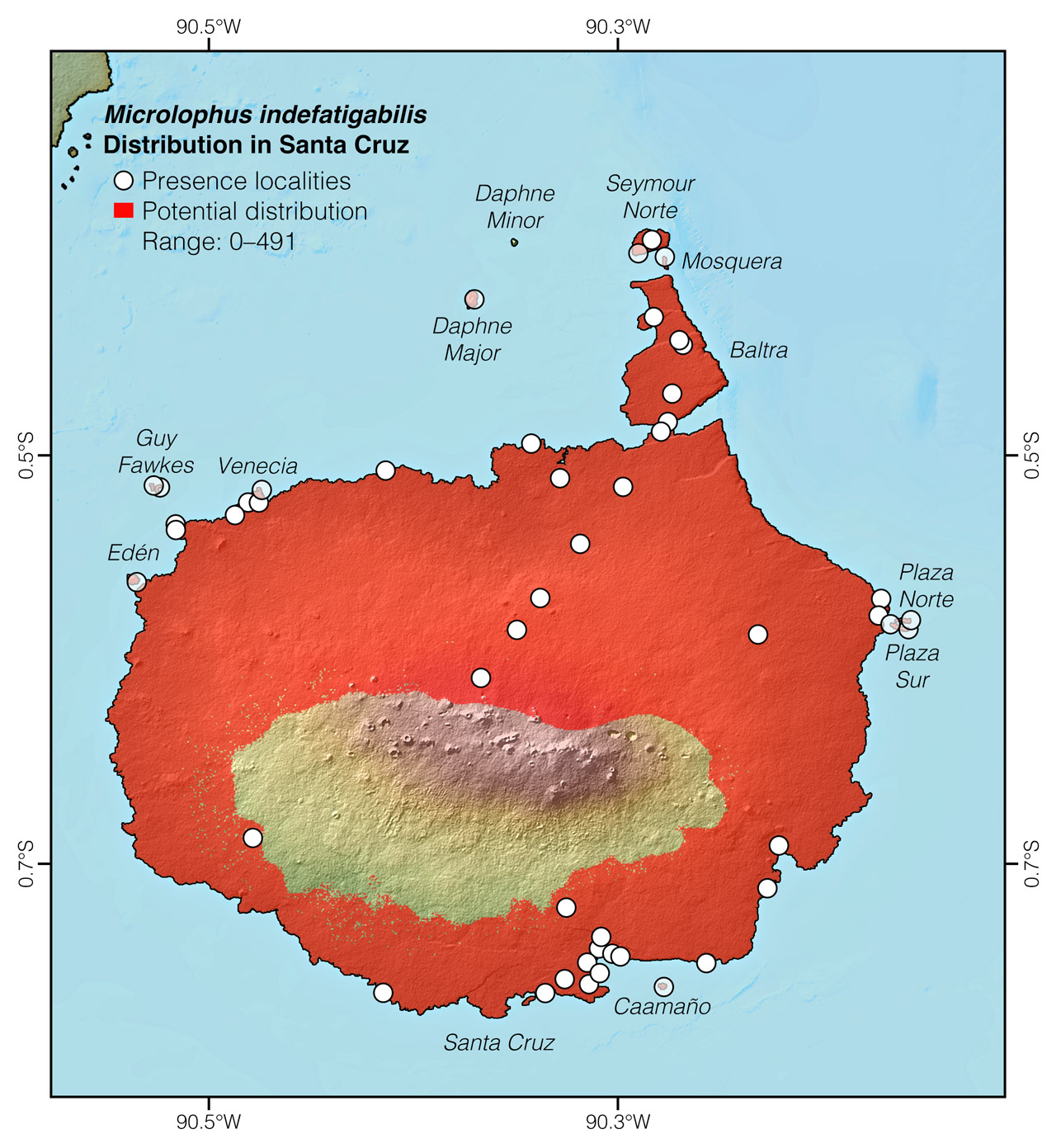 Distribution of Microlophus indefatigabilis in and around Santa Cruz Island
