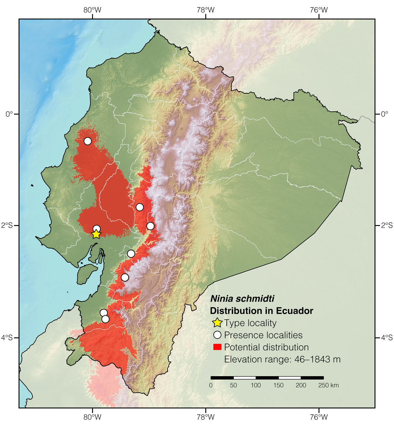 Distribution of Ninia schmidti in Ecuador