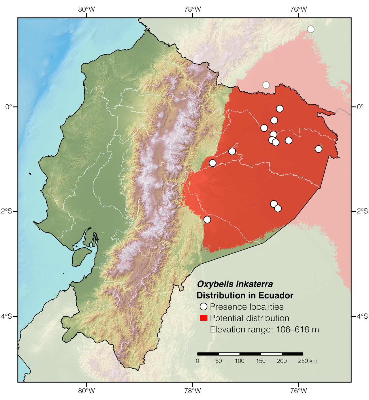 Distribution of Oxybelis inkaterra in Ecuador