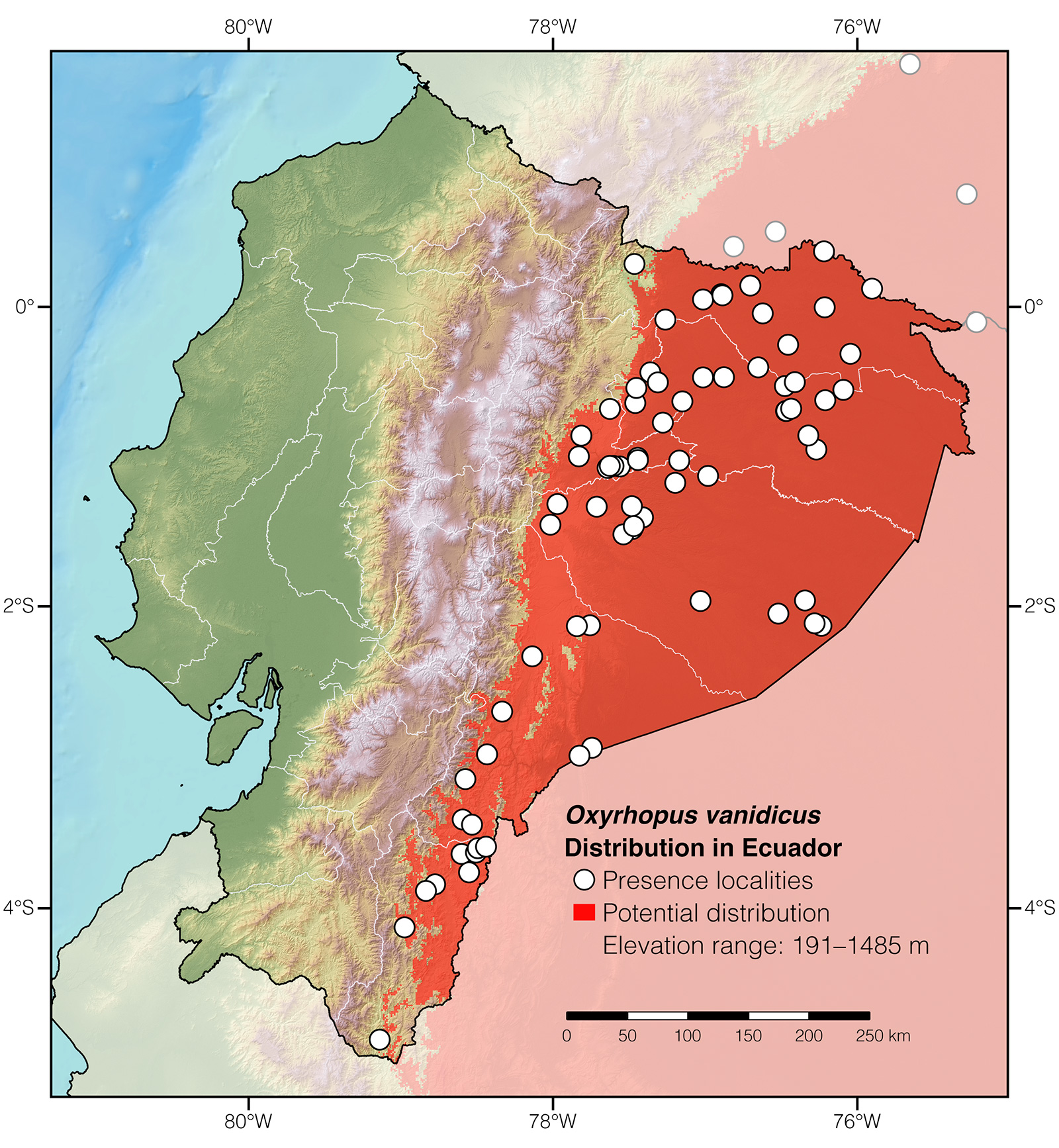 Distribution of Oxyrhopus vanidicus in Ecuador