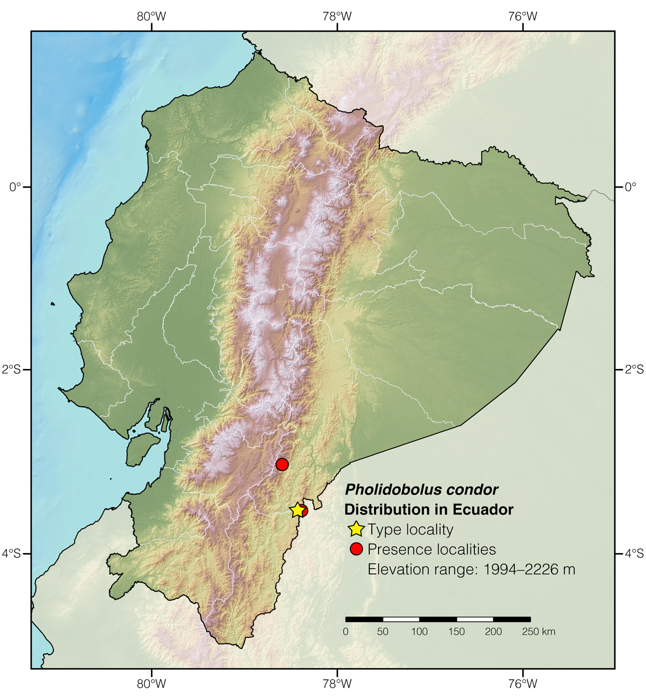 Distribution of Pholidobolus condor in Ecuador