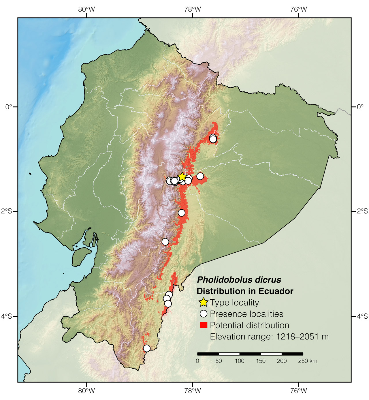Distribution of Pholidobolus dicrus in Ecuador