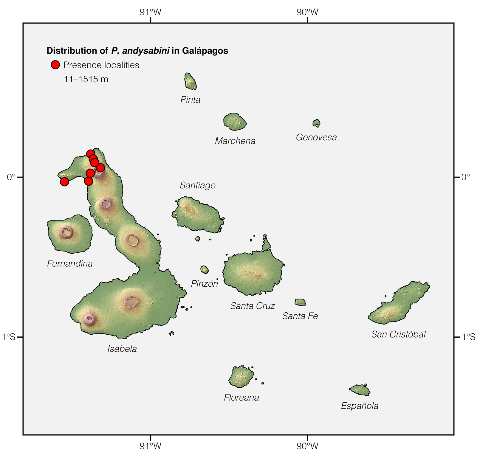 Distribution of Phyllodactylus andysabini in Galápagos
