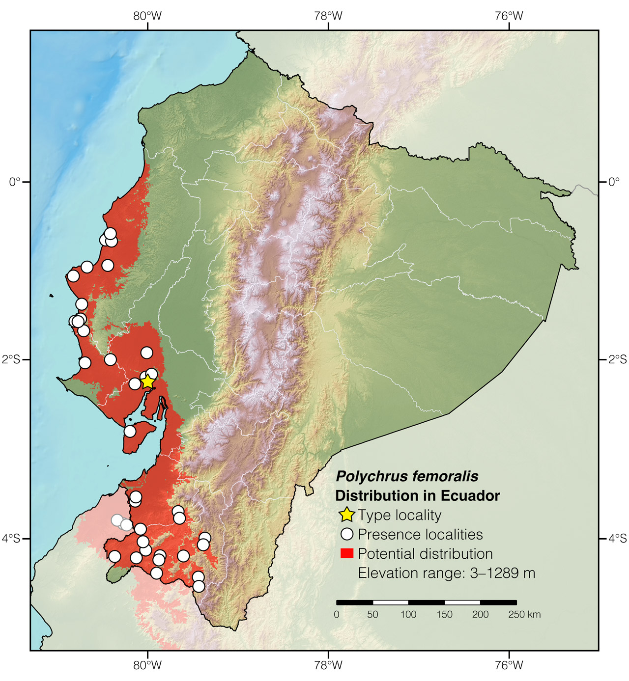 Distribution of Polychrus femoralis in Ecuador