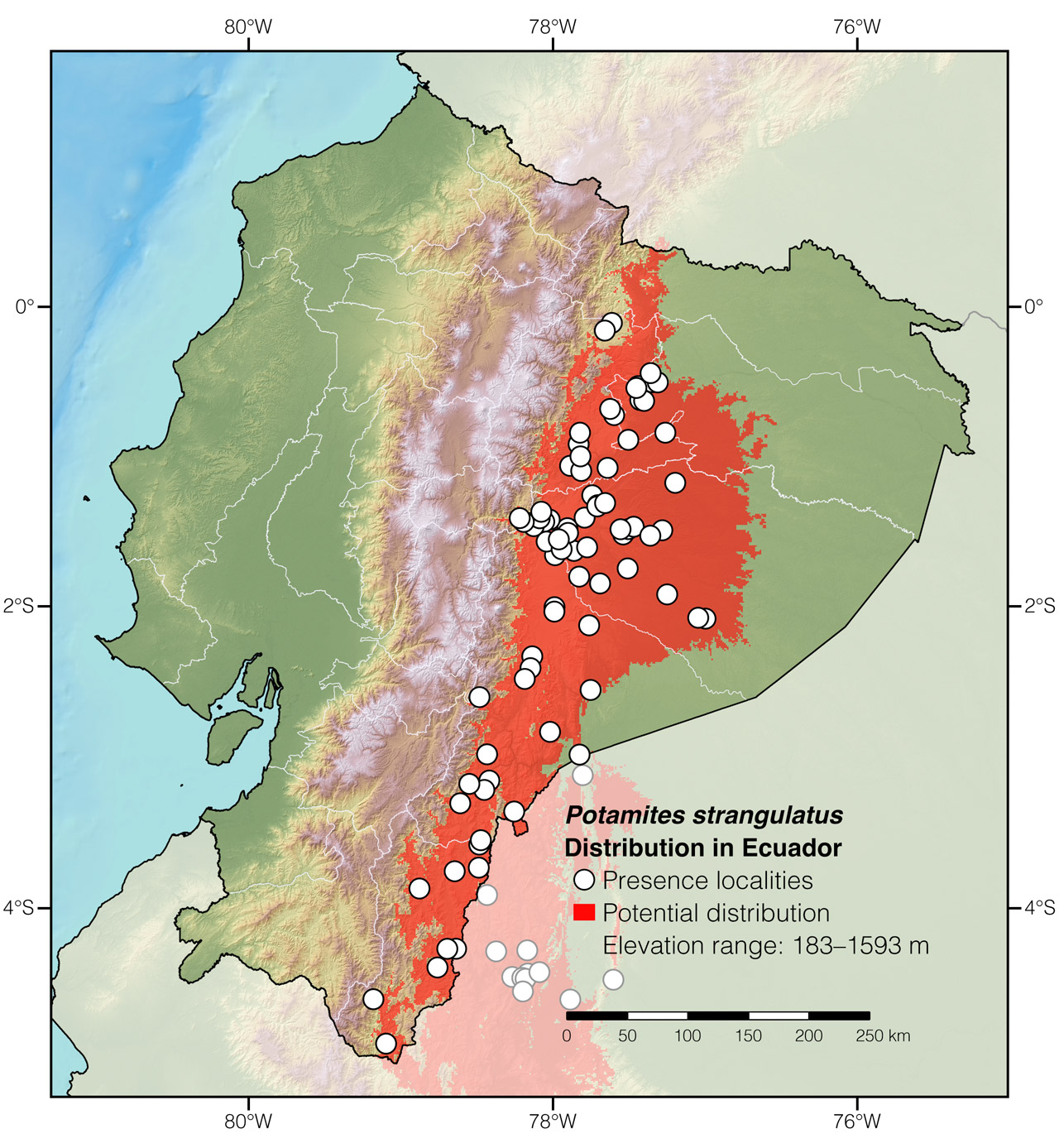 Distribution of Potamites strangulatus in Ecuador