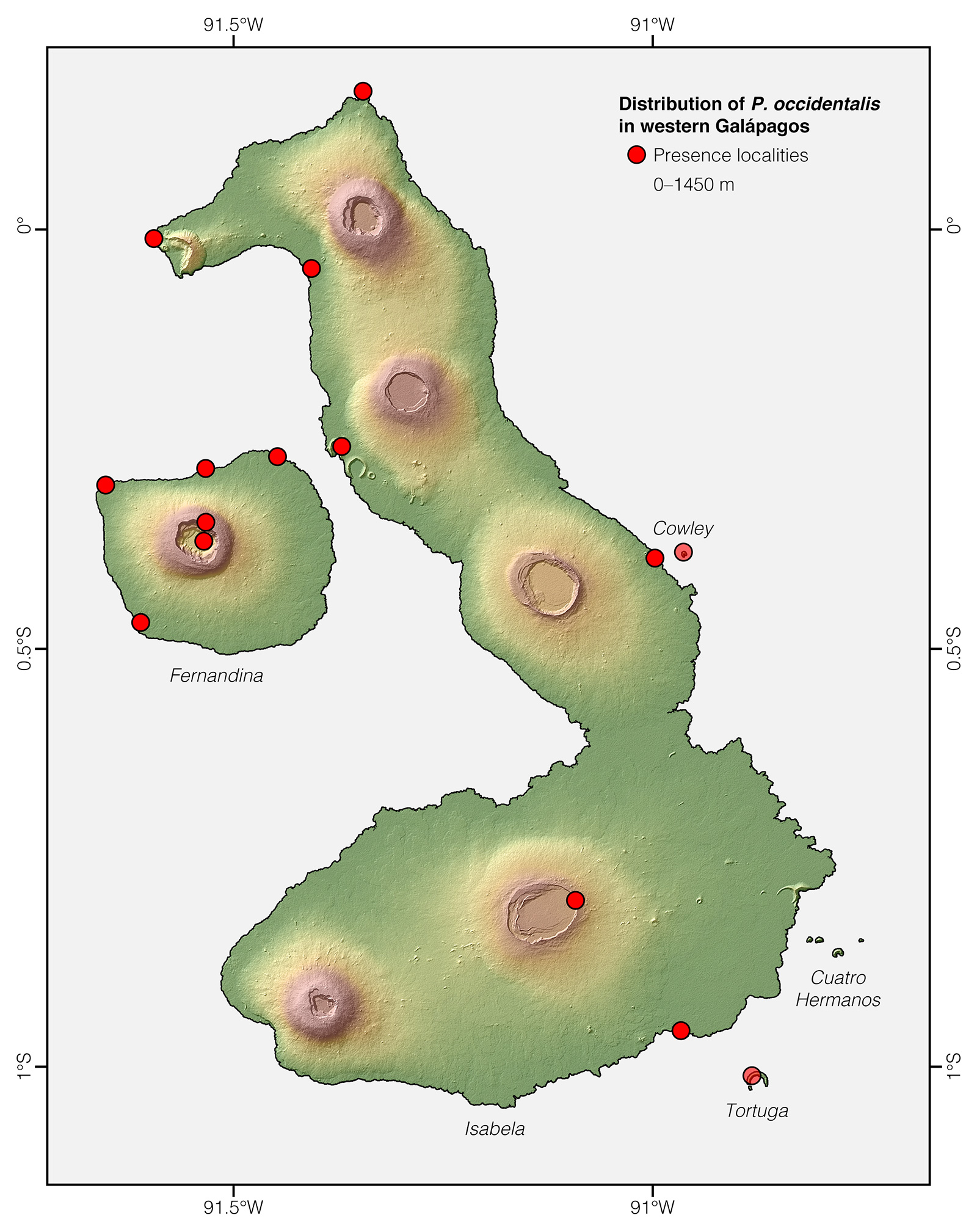 Distribution of Pseudalsophis occidentalis in western Galápagos