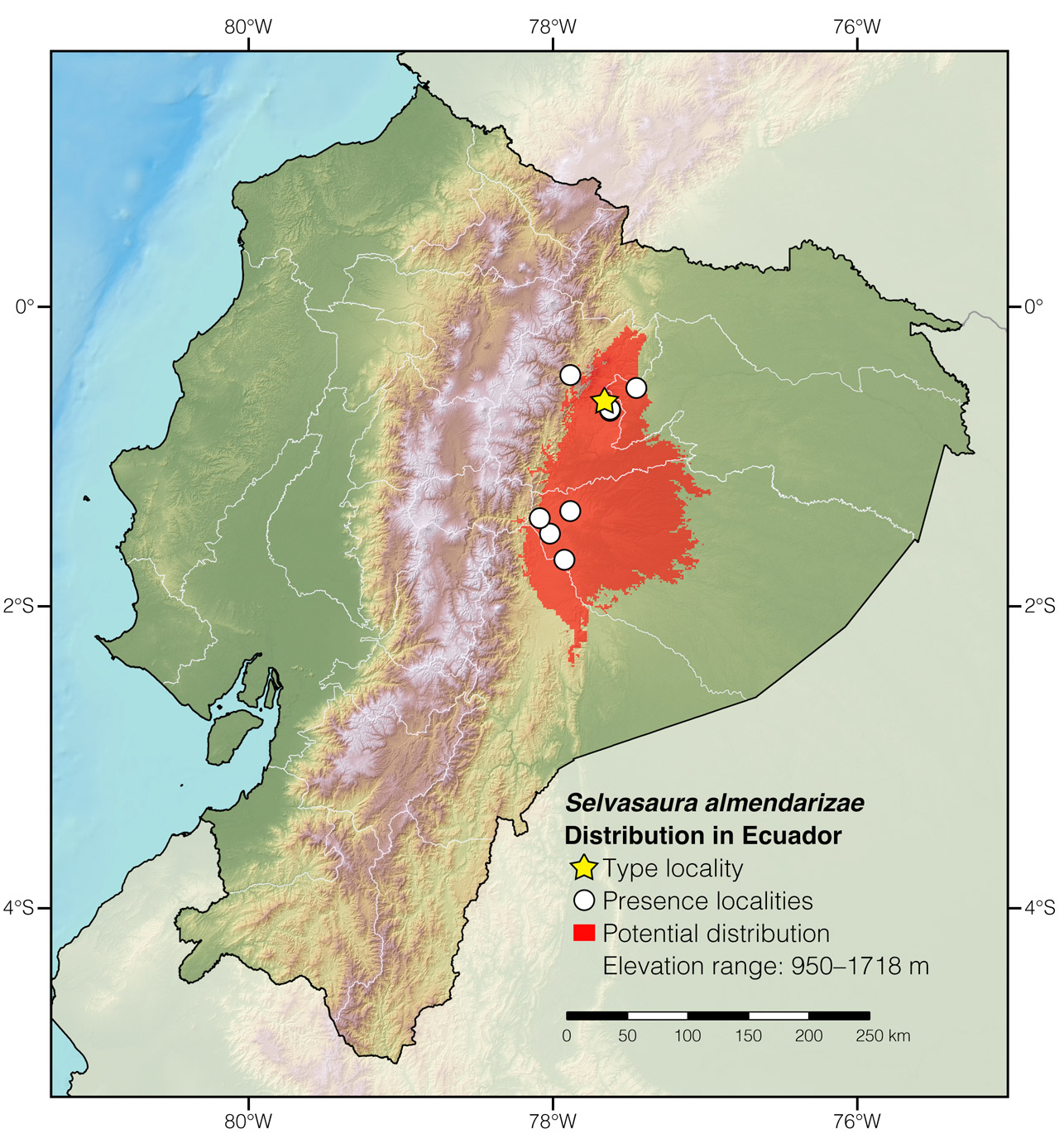 Distribution of Selvasaura almendarizae in Ecuador