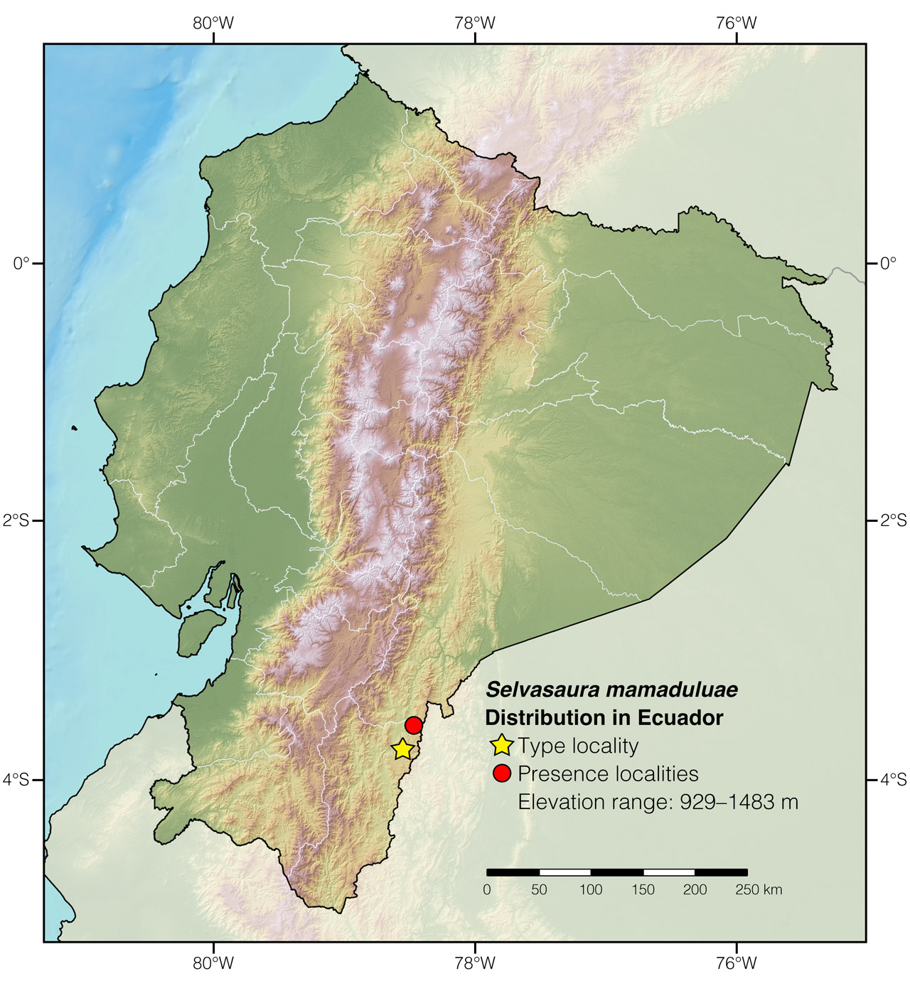 Distribution of Selvasaura mamaduluae in Ecuador