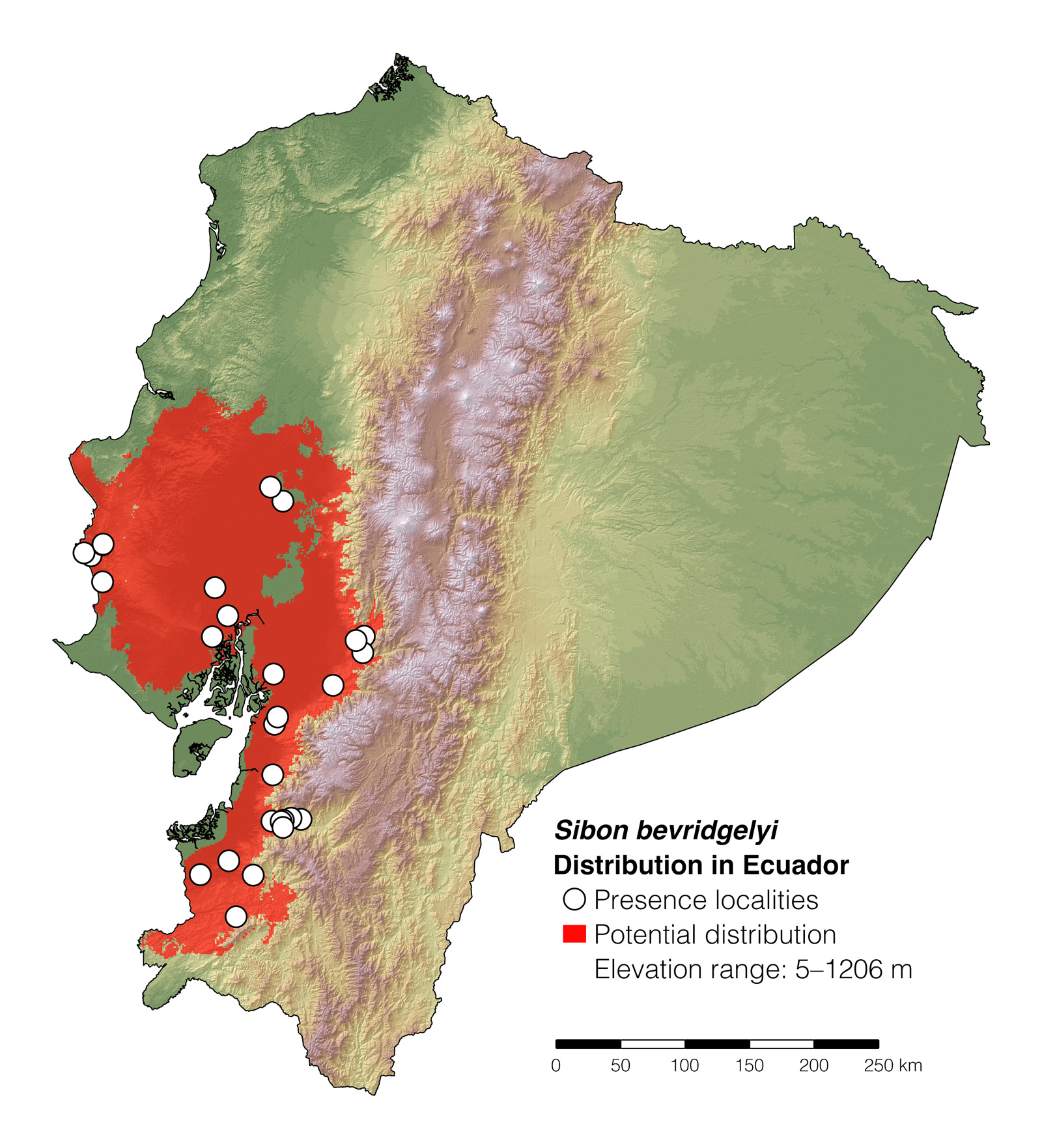 Distribution of Sibon bevridgelyi in Ecuador