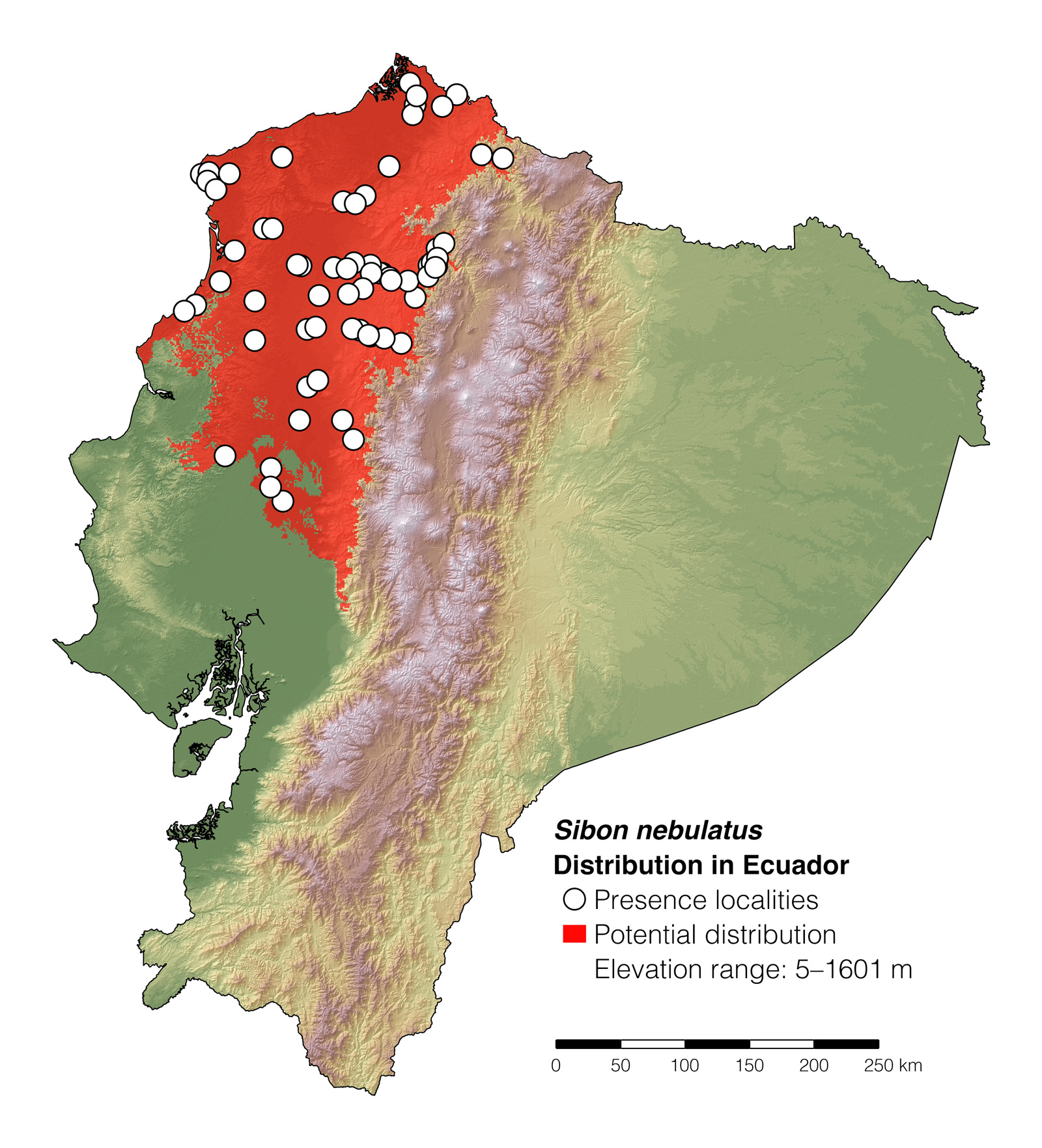 Distribution of Sibon nebulatus in Ecuador