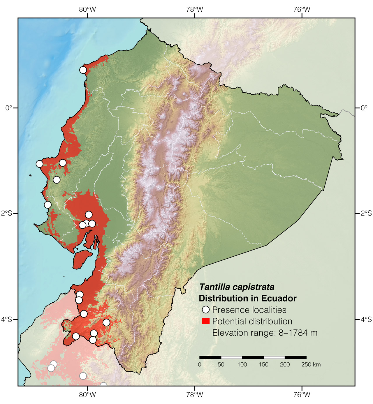 Distribution of Tantilla capistrata in Ecuador