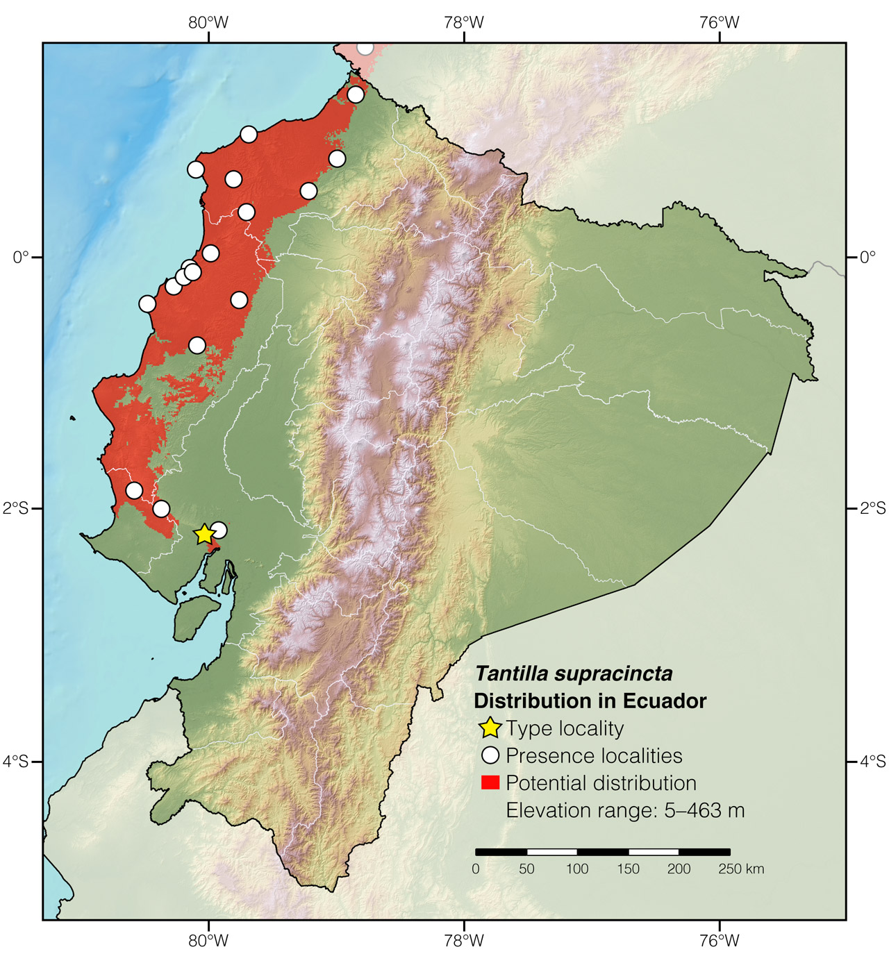 Distribution of Tantilla supracincta in Ecuador
