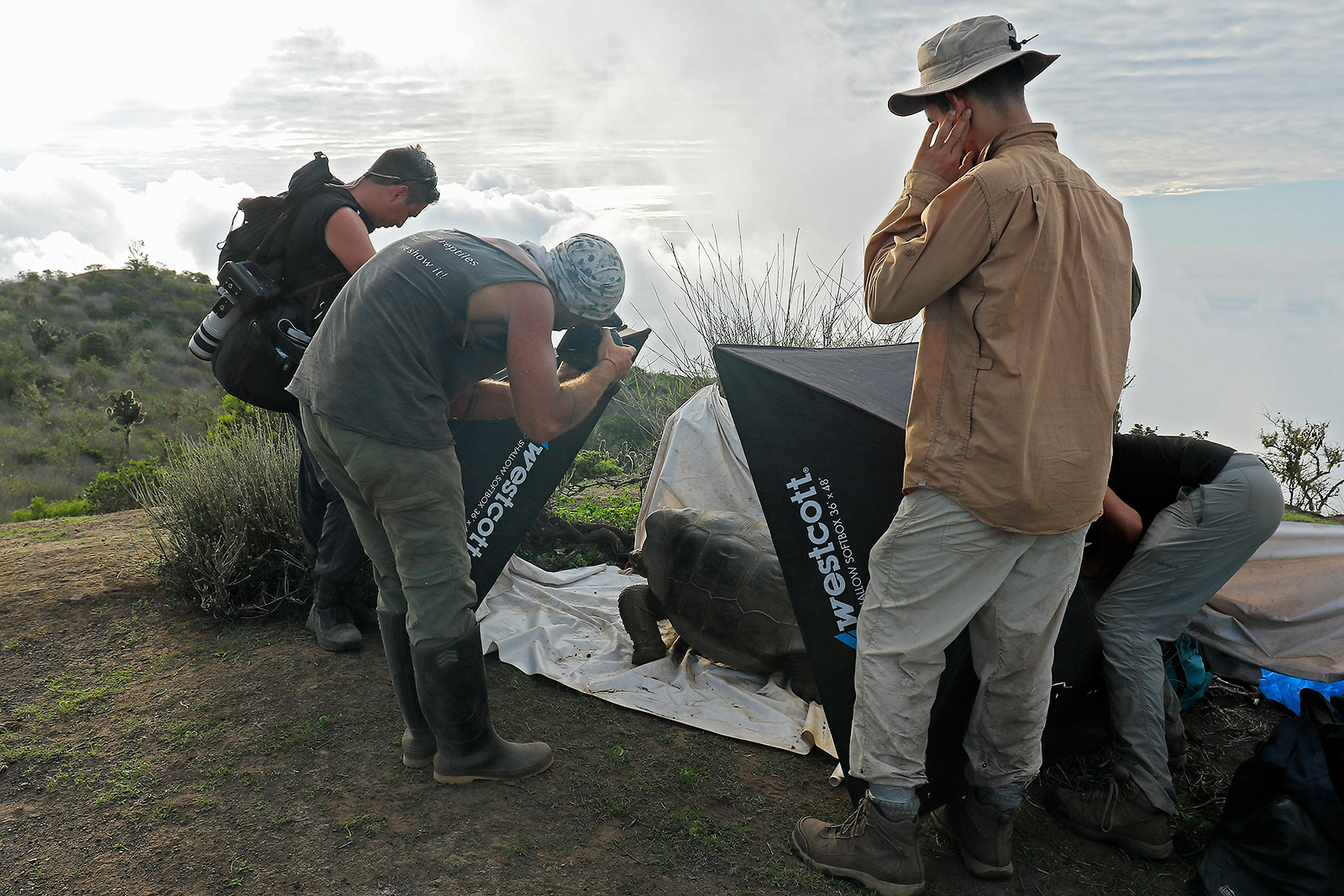 Biologist Jose Vieira photographs a Wolf Volcano Giant-Tortoise