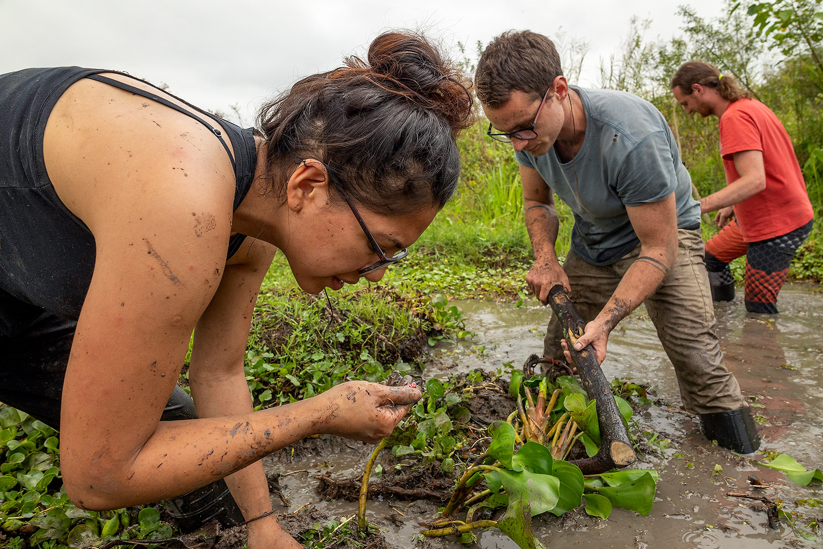 Herpetologists sampling a swamp in search for dwarf boas