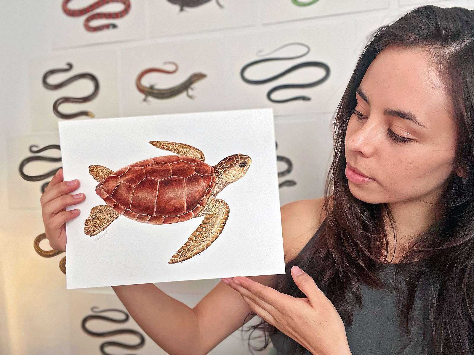 Valentina Nieto showing a scientific illustration of the Loggerhead Turtle