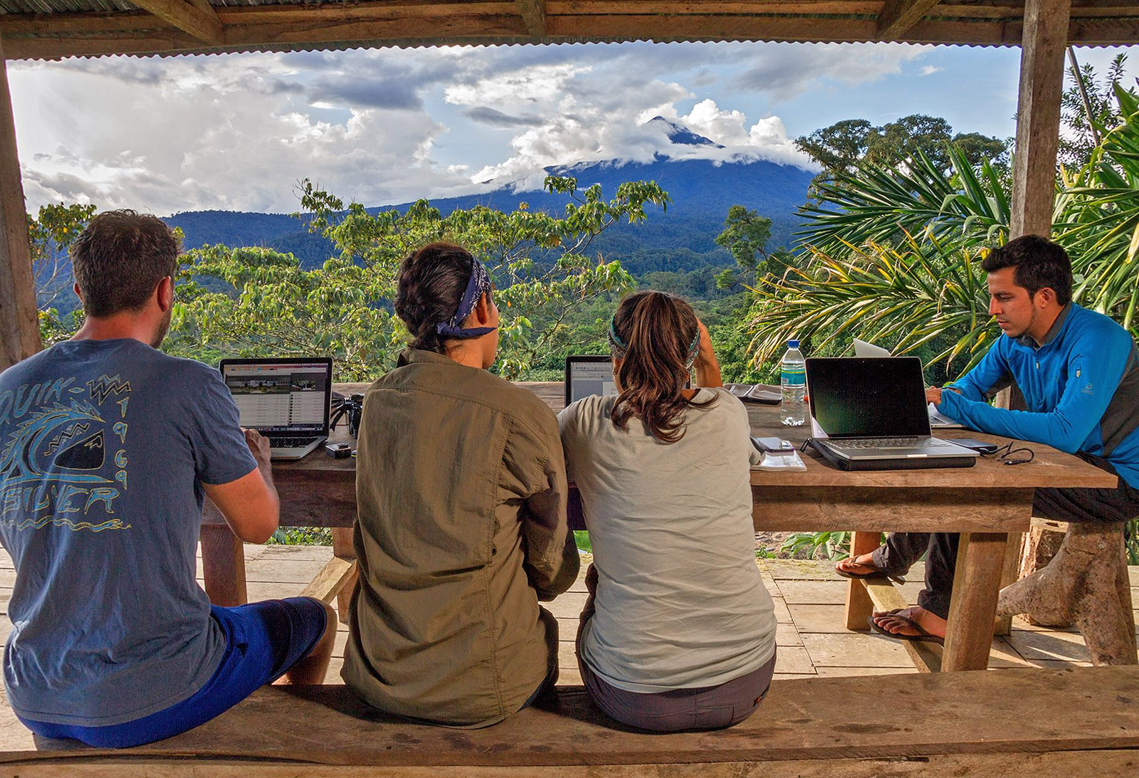 Various team members working on the writing phase of the Reptiles of Ecuador book