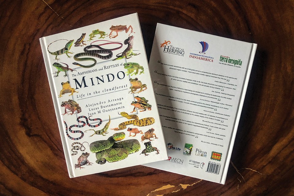 Image of the cover of the Amphibians and Reptiles of Mindo book